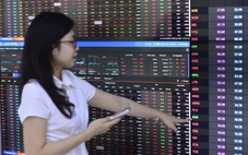 'Tân binh' tỉ USD ngành chứng khoán chào sàn lúc thị trường ảm đạm, bom tấn hay điều gì chờ đợi?