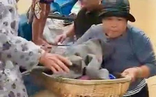 Mẹ và em bé mới sinh ‘bị đuổi’ khi đến trạm y tế xin tránh lũ: Người trong cuộc nói gì?