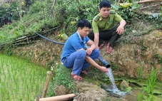 Giữ được rừng xanh, đồng bào vùng cao được chi trả tiền giảm phát thải khí nhà kính