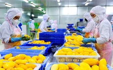 Đồng Tháp bứt phá trong bức tranh phát triển mới