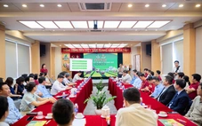 Lên tổng công ty, Phân bón Cà Mau sẽ ưu tiên điều gì?