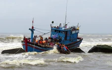 Tàu cá chìm khi vào bờ tránh bão số 15, 3 ngư dân mất tích