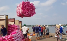 Cắt giảm thủ tục kinh doanh, kích thích làm ăn