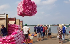 Cắt giảm thủ tục kinh doanh, kích thích làm ăn