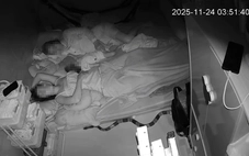 Làm gì khi rắn độc bò vào nhà dân ở ngay TP.HCM?