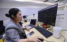 Loạt cổ phiếu chứng khoán, bất động sản 'nằm sàn'