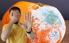 Đừng liều ăn thực phẩm mốc, nguy hiểm khôn lường