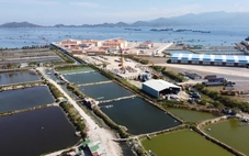 Khánh Hòa đăng ký khởi công 5 dự án ngàn tỉ chào mừng Đại hội Đảng toàn quốc