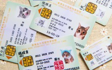Thú cưng ở Hong Kong có được cấp căn cước định danh?