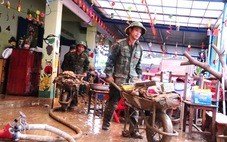 'Chiến dịch Quang Trung' sẽ xây mới hơn 1.500 căn nhà cho dân vùng lũ