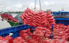 Đặt trái tim nơi ruộng đồng