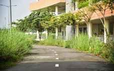 Hiện trạng bệnh viện 4.500 tỉ ở TP.HCM sau 10 năm khởi công: Máy móc nằm im, cỏ dại um tùm