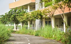 Hiện trạng bệnh viện 4.500 tỉ ở TP.HCM sau 10 năm khởi công: Thi công 'cho có', cỏ dại um tùm