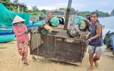 Tất bật đưa tôm hùm 'chạy' bão Kalmaegi