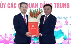 Ông Nguyễn Văn Quảng làm Bí thư Đảng ủy Tòa án nhân dân tối cao