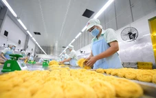 Góp ý văn kiện Đại hội Đảng XIV: Chìa khóa để dòng vốn 'chảy' vào khu doanh nghiệp vừa và nhỏ