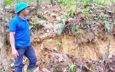 Vết nứt dài 100m ở quả đồi uy hiếp khu dân cư có 20 nhà dân phía dưới