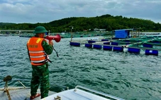 Đắk Lắk cấm hoạt động trên biển