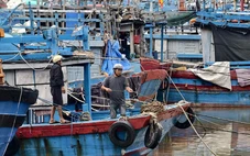 Quảng Ngãi kêu gọi hơn 6.000 tàu cá tránh bão số 13