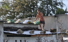 Vùng dự báo gần tâm bão Kalmaegi ứng phó ra sao?