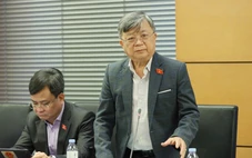 Thuê người nước ngoài điều hành doanh nghiệp nhà nước thì có buộc họ kê khai tài sản?