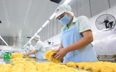 Góp ý văn kiện Đại hội Đảng XIV: Chìa khóa để dòng vốn 'chảy' vào khu doanh nghiệp vừa và nhỏ