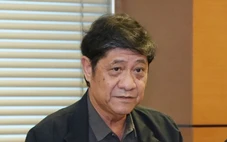 Lấy cát biển làm vật liệu xây dựng, đại biểu Quốc hội lo đất miền Tây bị nhiễm mặn