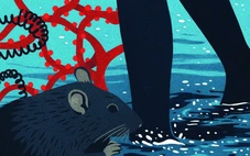 Mầm bệnh lẩn khuất trong dòng nước