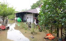 Chính quyền hỗ trợ dân gia cố sau vụ vỡ đê bao ở cồn Sơn