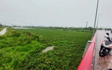 Nhiều dự án thoát lũ cho sông Tắc Nha Trang, nhưng sông Tắc đang thành 'dòng sông bèo'