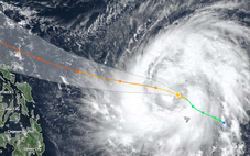 Bay đi giùm chim ơi!