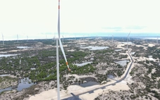 Vingroup quan tâm dự án điện gió 9.100 tỉ đồng tại Quảng Trị