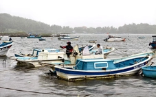 Bão qua, lo ngập lụt, sạt lở tới