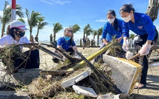 Đà Nẵng: Khẩn trương dọn rác ngổn ngang đường phố sau bão số 13