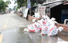 Dù đã xây 'tường thành', người dân Bình Quới, Tân Mỹ vẫn  khổ vì triều cường