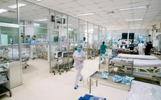 Việt Nam thử nghiệm lâm sàng giai đoạn 3 vắc xin sốt xuất huyết, sẽ có 4.000 người tham gia