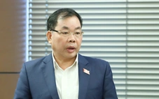 Đại biểu Quốc hội: Bỏ bớt loại hình quy hoạch để tránh trùng lắp, treo thành món nợ với dân