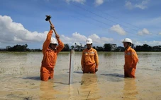 Nhiều nơi tại Gia Lai, Đắk Lắk đã có điện trở lại