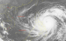Bão Phượng Hoàng mạnh lên cấp 15, khả năng thành siêu bão hôm nay