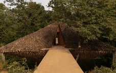 Nhà cầu bắc qua khe nước với lớp 'vảy tê tê' bằng bùn tranh kỳ lạ