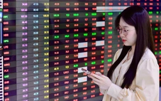 Dòng tiền trên thị trường chứng khoán đang 'nguội' nhanh, vì sao?