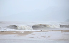 Thời tiết hôm nay 10-11: Bão Phượng Hoàng vào Biển Đông, sóng cao tới 10m