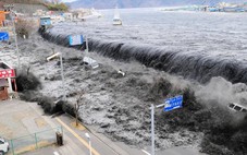 Nhật Bản đón sóng thần cao... 10cm