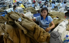 Ủy ban Chứng khoán đình chỉ kiểm toán viên ký báo cáo tài chính năm 2024 của Garmex Sài Gòn