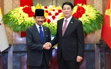 Chủ tịch nước Lương Cường chủ trì lễ đón Quốc vương Brunei