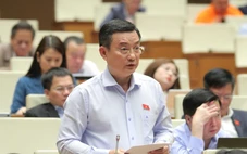 Đại biểu lo ngại 99% dữ liệu hành vi người Việt ở nước ngoài, doanh nghiệp trong nước đói dữ liệu