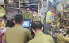 Kiểm lâm TP.HCM khuyến cáo mua bán chim cảnh cần tuân thủ gì?