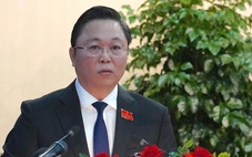 Hạn chế sạt lở, Đà Nẵng đề xuất bỏ keo sang trồng cây gỗ lớn ở miền núi