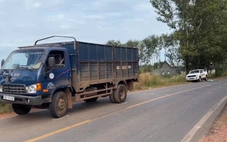 Sau va chạm, xe tải tiếp tục cán qua người nạn nhân, tài xế bị tạm giữ