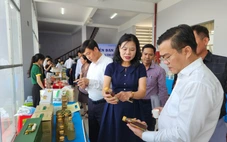 Xuất nhập khẩu hàng hóa An Giang - Campuchia tăng 12,7%/năm